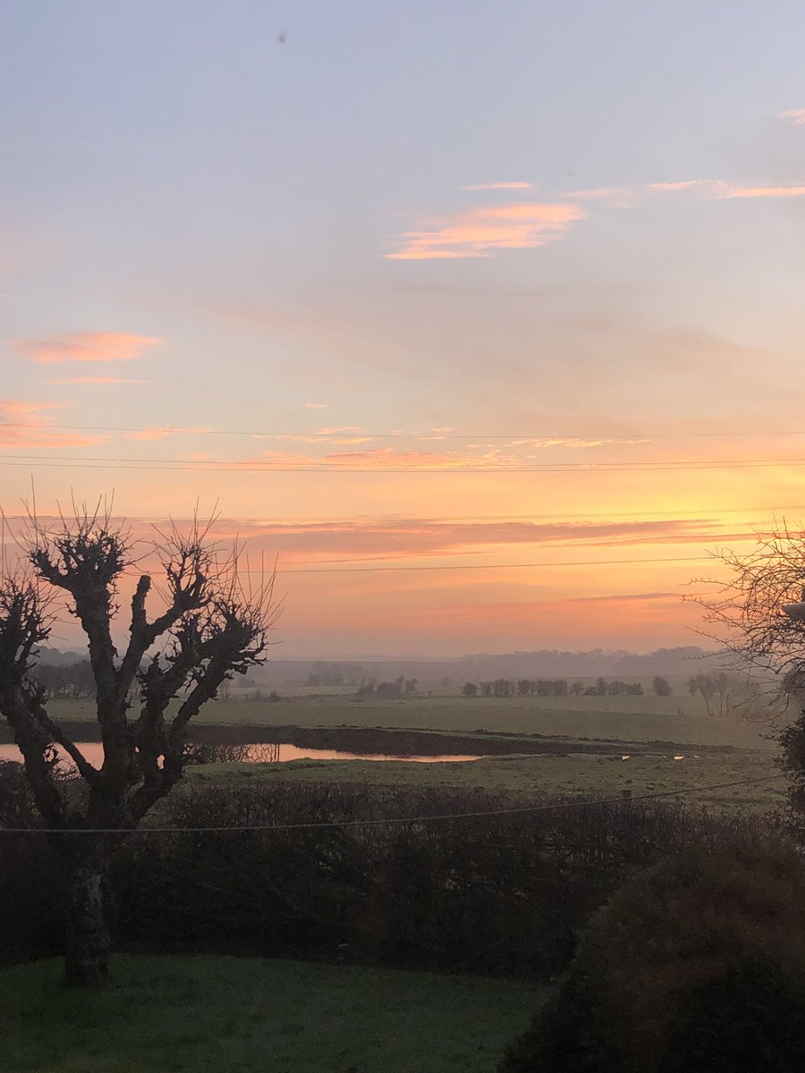 ParrotStanley's tweet photo. #CageView lush left at 7am... https://t.co/TOFbY8Bsrw