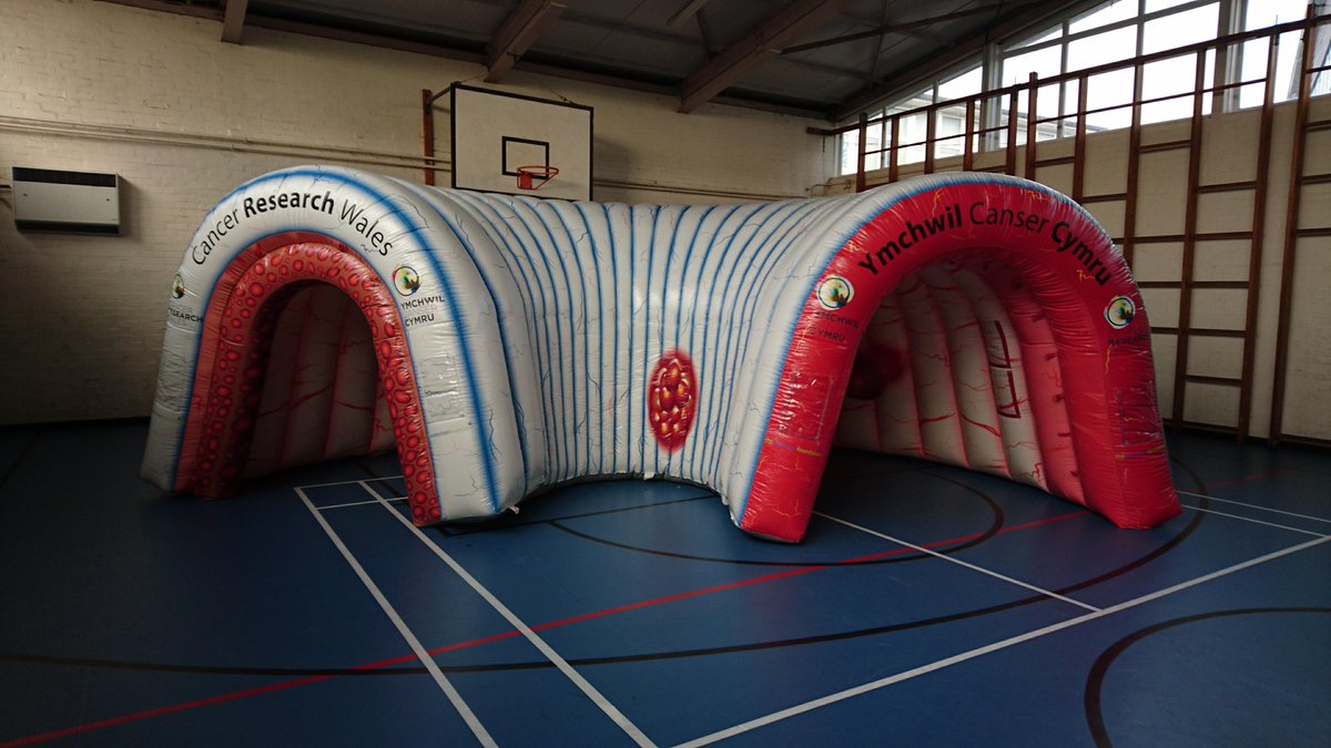 bedwashighsch's tweet image. Just before half-term, our Year 9 students spent time with Beth and Anna-Marie @cancer_wales for an informative bowel cancer workshop. Such an important disease to have an understanding of.