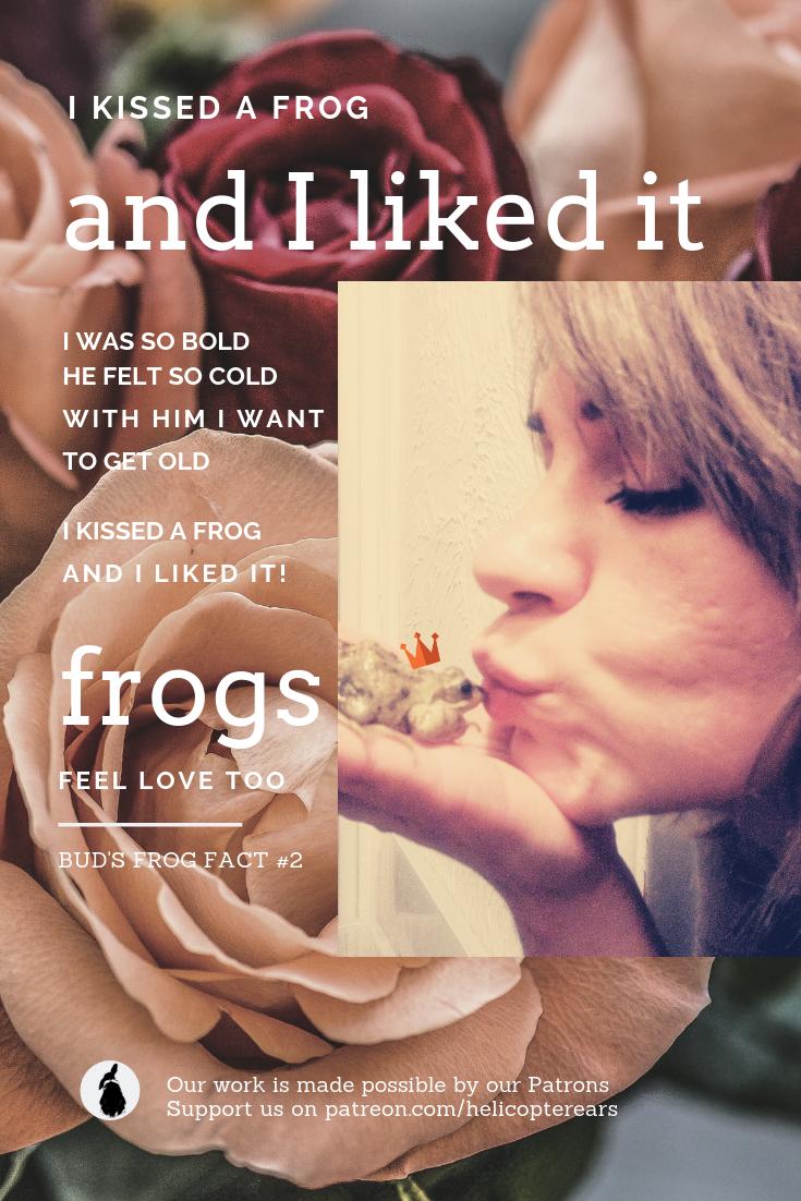 HelicopterEars's tweet photo. #Frogs feel love too. Bud the #FabulousFrog of #HelicopterEars ❤ Frog Facts by Bud https://t.co/8IHfW53MI7 Support us: https://t.co/UcaFIG3Vzl ❤🐰❤ https://t.co/hOuR2iu0jU