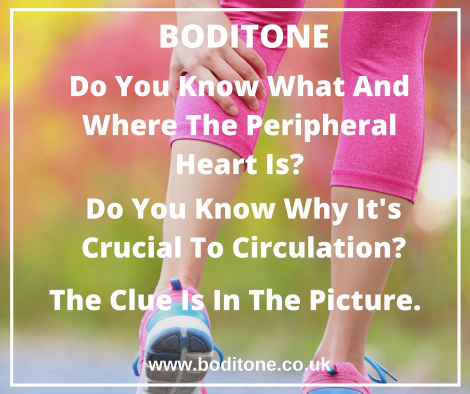 Boditone tweet media