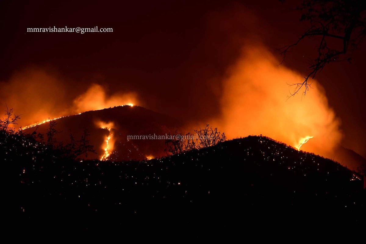 adarshahgd's tweet photo. Sir @narendramodi ji around 3,000 hectares of forest in Bandipur Tiger Reserve has been turned into ashes and due to forest fire. Aerial support in turning down the fire will help. Pls ensure our Karnataka's forests are saved. Already we have lost huge forest area.🙏
#Bandipur https://t.co/AiUnJgPjDL