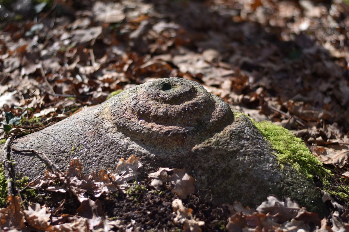 ManuelDeRoque's tweet image. E se estamos a argallar algo... #Hype #Proxecto #retos #ALouriña #ALouriñaMola #AMiñaAldea