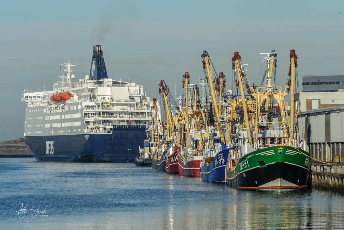 IJmuiden tweet media