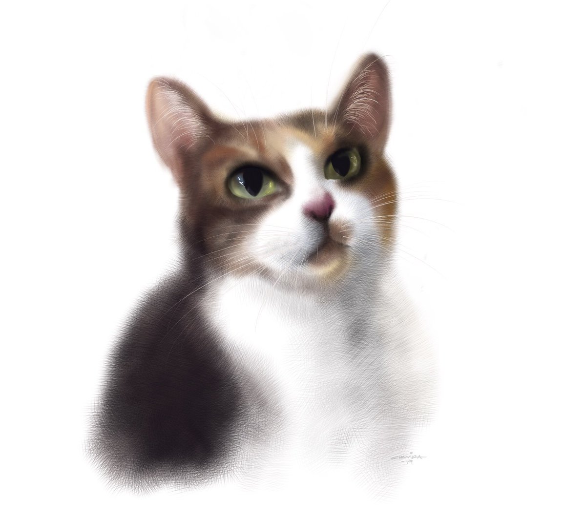 CaArChavira's tweet photo. A sketch of one o’ my kids, little Gipsy Danger 🖤

#AutodeskSketchBook #iPad #digitalsketch #cat #GipsyDanger #ApplePencil https://t.co/vDyz0t7dnR