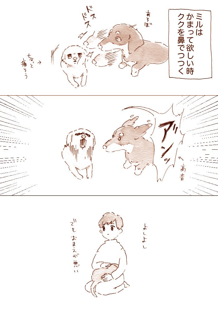 愛犬ミルとククのことを描きました

ミル(ミニチュアダックスフンド) 
クク(マルチーズ) 