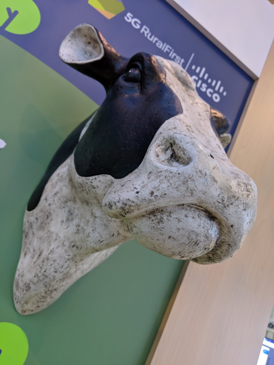 5GNewThinking1's tweet photo. Bessie says hi 👋 #MWC19 #5GRuralFirst #agritech #connectedcow https://t.co/pGs9B10pFn