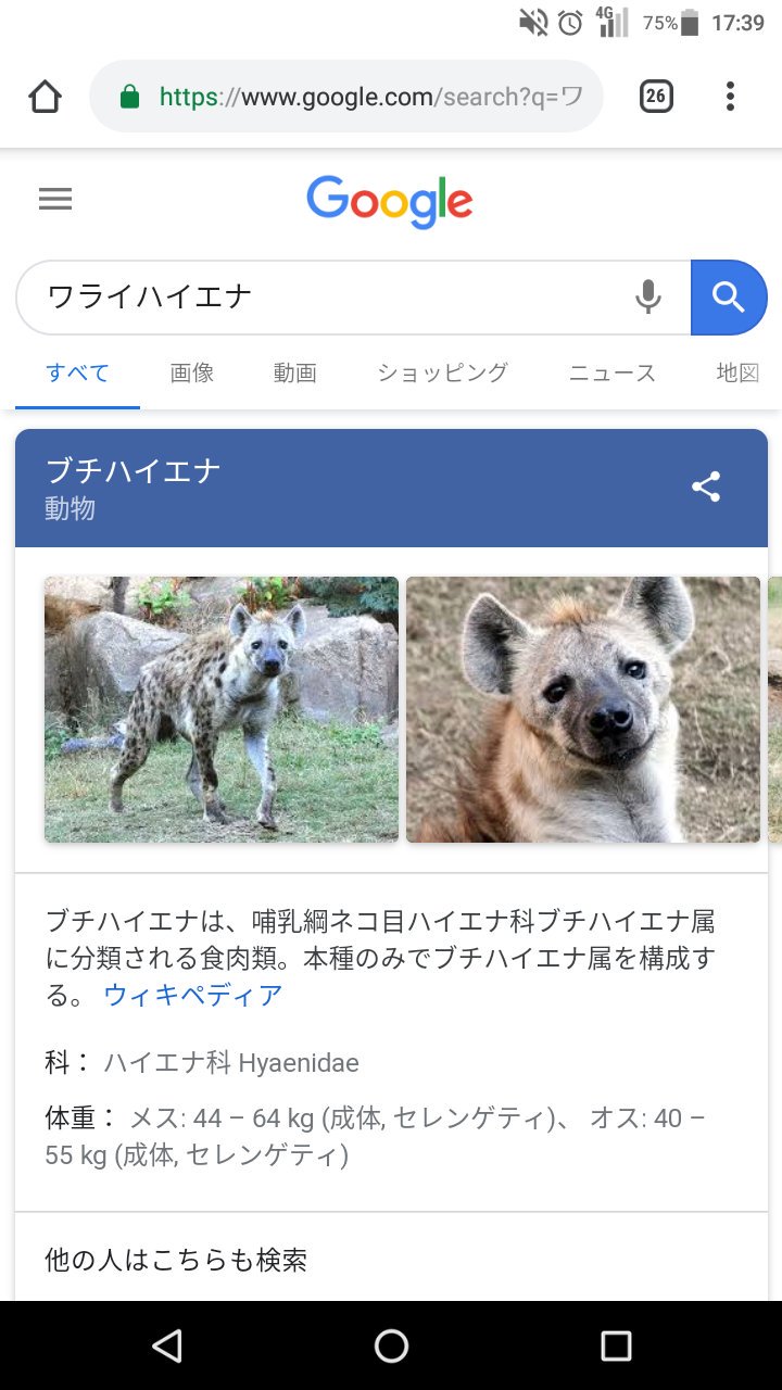 妖怪ネコしゃぶりゴリラ やばい 今 会社食堂のどこかに ハイエナの鳴き声みたいな笑い方する新入社員がいる 妖怪ネコしゃぶりゴリラ やばい 今 会社食堂のどこかに ハイエナの鳴き声みたいな笑い方する新入社員がいる