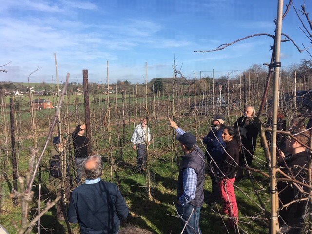 WyeFruit's tweet photo. Great #Junami pruning demonstration for some of the @WyeFruit growers last Thursday at Tillington Top Fruit. #apples🍏 #British🇬🇧 #Junami 🍎 https://t.co/HH7wosJq1d