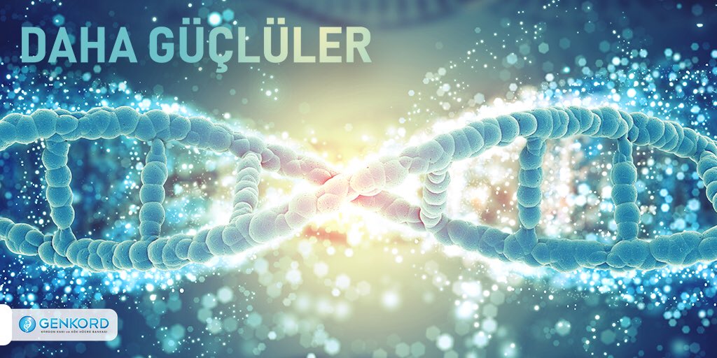 Vücutta çeşitli kök hücre kaynakları bulunsa da kordon kanı kök hücreleri herhangi bir çevresel faktöre maruz kalmadığından daha güçlüdürler. Dolayısıyla kordon kanı saklatmak, olası sağlık sorunlarında en çok verim alınacak kök hücrelere ulaşılabilmesi açısından önemlidir.