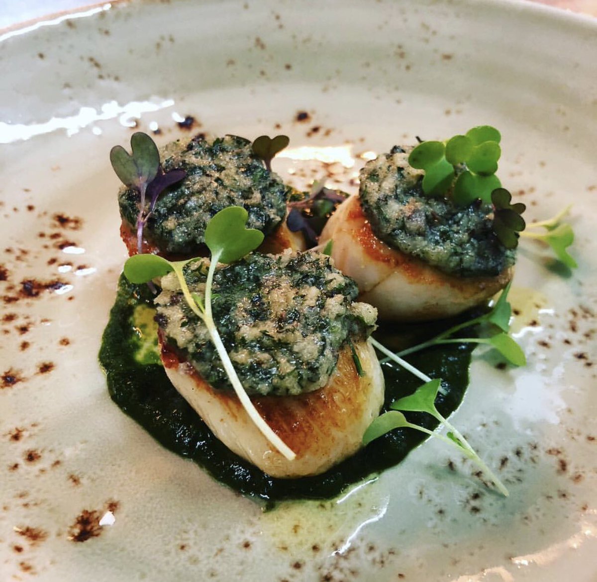 Another stunning dish created by our team of chefs to brighten up your Monday morning!

#lunch #businessevents #businesslunch  #finedining #cheflife #venue #foodies #rewards #foodie #inspiration #plottoplate #shmooze #MondayMotivation