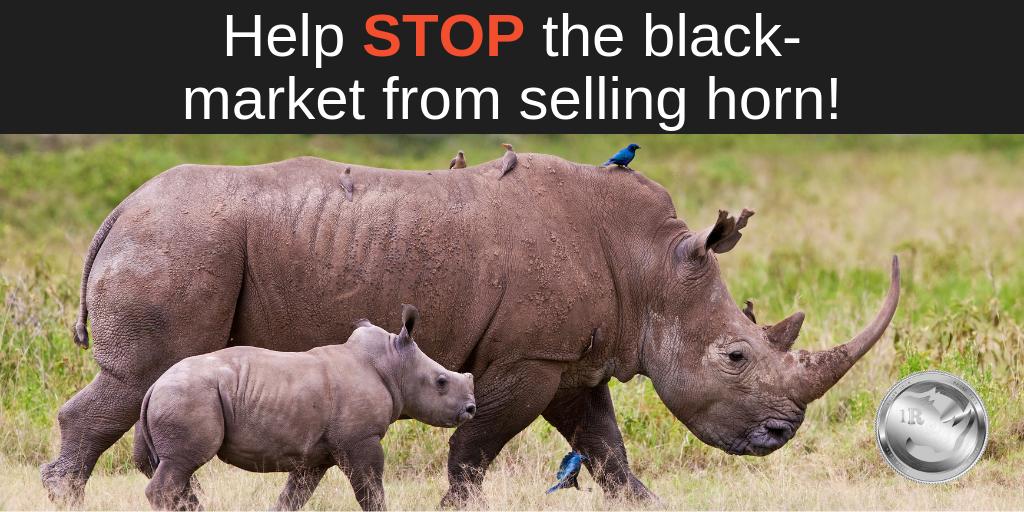 Rhinocoin_SA's tweet photo. Imagine a world where everybody lends a helping hand to…

#RhinoCoin #Poaching #Rhino #Help #Stop #Cryptocurrency https://t.co/pwQmifs5rW