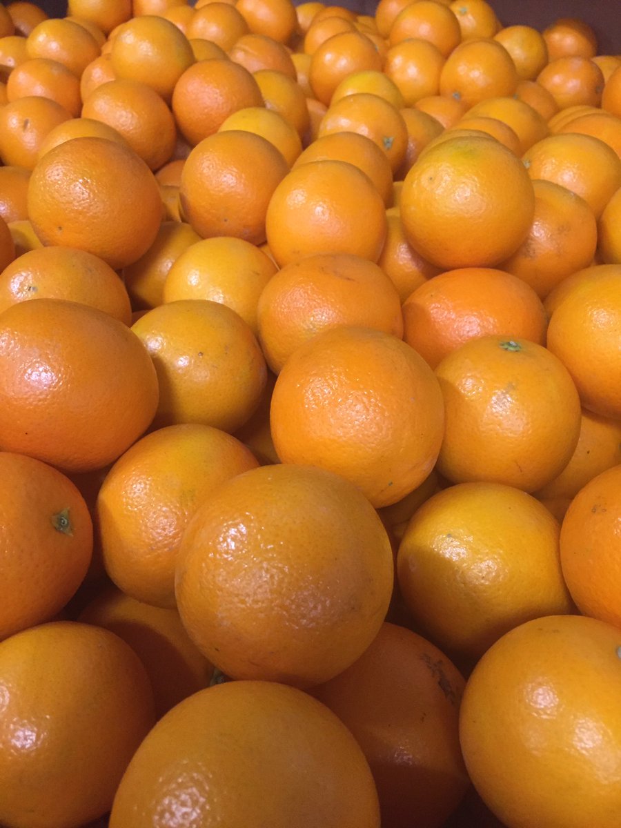 Zuidam Distillers tweet media