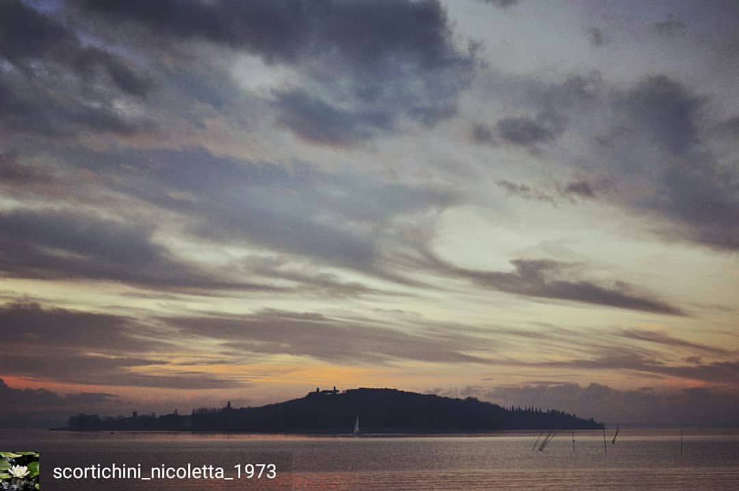 Isola_Polvese's tweet photo. from @scortichini_nicoletta_1973 - Purtroppo ho un grosso difetto….
Non sopporto l'ipocrisia. #trasimenolake #trasimeno #umbria #ceaisolapolvese #natura #biodiversità #aulaverde #polvese #history #art #enviroment #cea #educazioneambientale #scientificpark #cultures https://t.co/nxeHeFZr9M