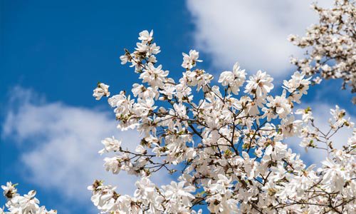 mitch_darren's tweet photo. 🚨New blog post 🚨Put your office furniture back on a pedestal… Spring’s on its way! https://t.co/6TZYbrgc7L https://t.co/cyi8irpSxH