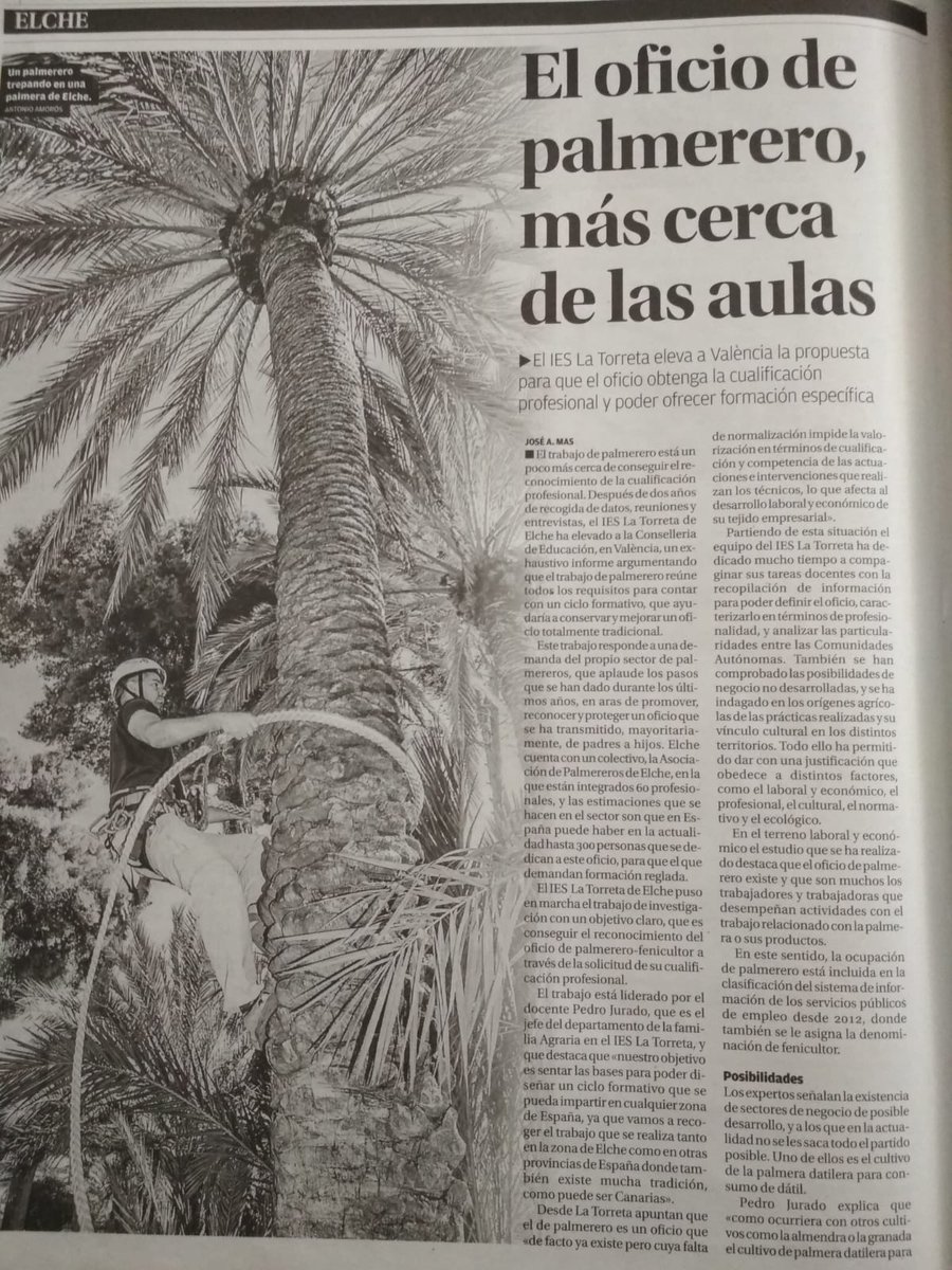 latorretaelx's tweet photo. El IES La Torreta Elche eleva a Valencia la propuesta para que el oficio de #palmerero profesional obtenga la cualificación profesional y poder ofrecer formación específica de FP.
#ieslatorretaelche
#palmeral
#agrariasfp https://t.co/Tc1wgDTsE3