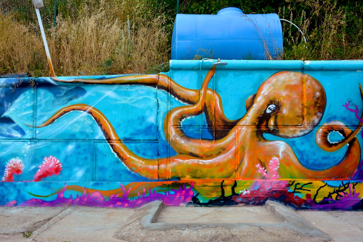 STENACLUB's tweet photo. Decorated more than 150 meters of the embankment drawings. Now in the village. Nebug is the brightest beach area https://t.co/p06kaHDBsl