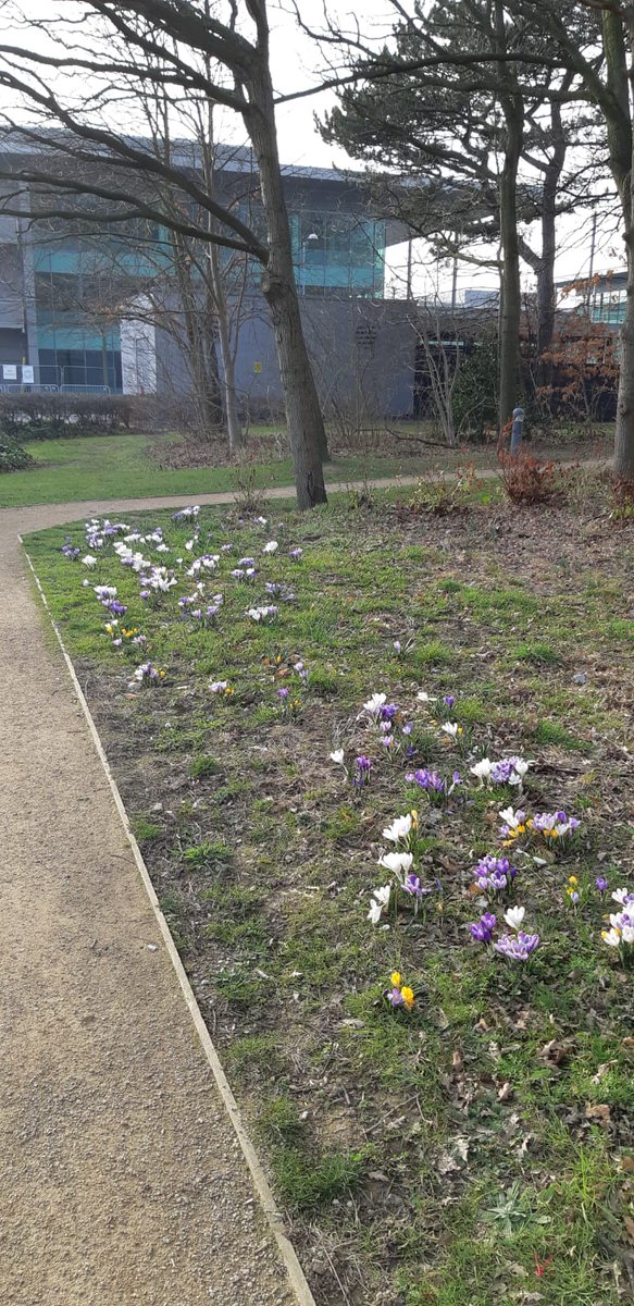 Spring has sprung at <a href="/birchwood_park/">Birchwood Park</a> 🌼🌱 #ITSAPARKLIFE