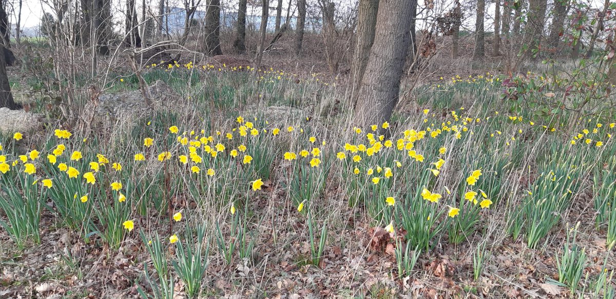 atTheCentre's tweet photo. Spring has sprung at @birchwood_park 🌼🌱 #ITSAPARKLIFE https://t.co/dCpI7PWfX2