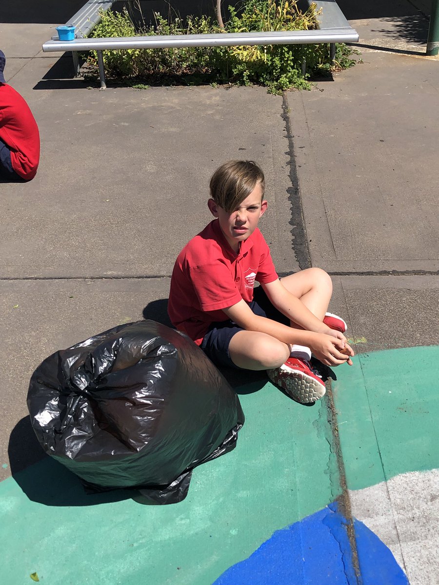 bradnhaz's tweet photo. Part 2 Years 3-6 testing their Solar Ovens. Designed, constructed and tested by themselves. #smallschools #STEM #delegatepublicschool @NSWEducation @mscott @dizdarm https://t.co/RRDgqzf9PN