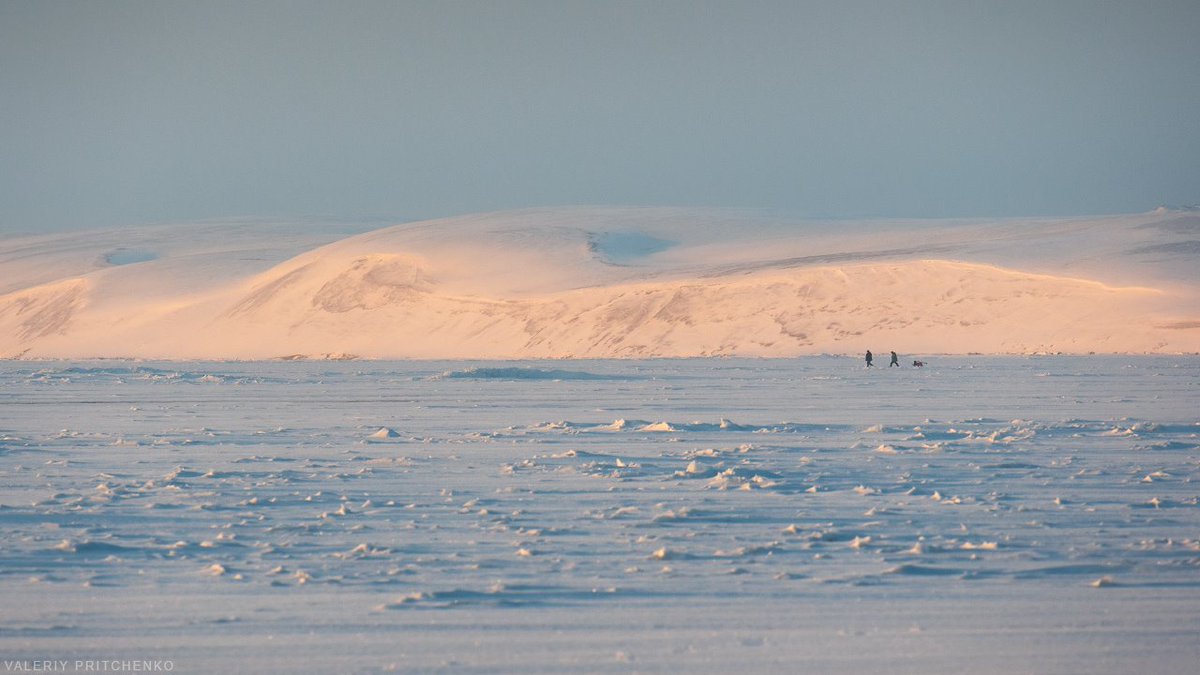 KaliningradReg's tweet image. 🌬Greenland, the Spitsbergen archipelago or even the North Pole? 🌨 No, this is the winter view of the #CuronianSpit, one of @UNESCO World Heritage sites
📷@park_kosa 
#VisitRussia #VisitKaliningrad
