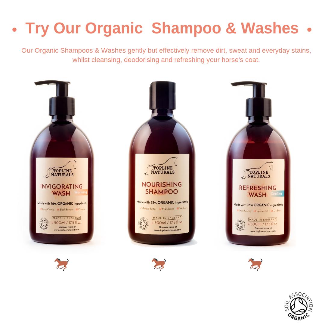 toplinenatural's tweet photo. The temperature is up so a great time to give your horse a well deserved bath. Our ORGANIC @SoilAssociation approved Shampoo and Washes gently but effectively remove dirt, sweat and everyday stains 🐎 🚿☀️#MondayMotivation #HorseChatHour
. https://t.co/M6DBmjpm2w