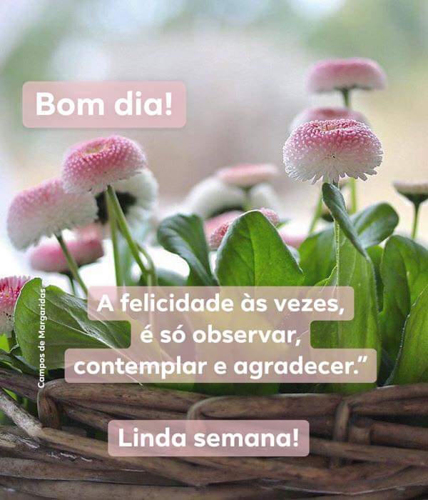Patthy Adoradora 🕊 on Twitter: Patthy Adoradora 🕊 on Twitter: