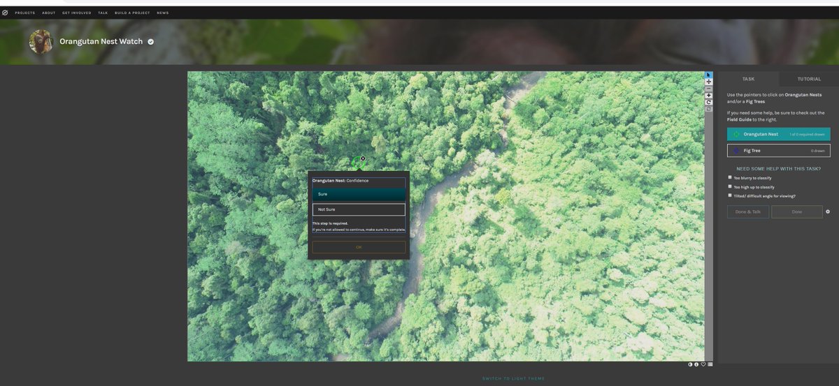 solomilne's tweet image. Using #drones to find #Orangutan nests &amp;amp; strangler figs (a vital food source) in #Sabah. The incredible field team has covered  ~100km2 of forest &amp;amp; over 2600 #CitizenScientists are helping us analyse the data! #tech4wildlife @UoABioSci @WILDLABSNET tinyurl.com/y33o82h8