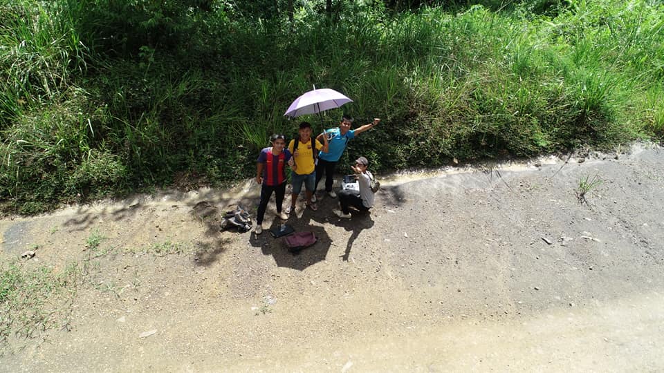 solomilne's tweet image. Using #drones to find #Orangutan nests &amp;amp; strangler figs (a vital food source) in #Sabah. The incredible field team has covered  ~100km2 of forest &amp;amp; over 2600 #CitizenScientists are helping us analyse the data! #tech4wildlife @UoABioSci @WILDLABSNET tinyurl.com/y33o82h8