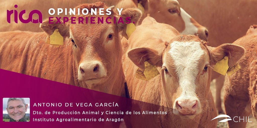 Antonio de Vega nos regala un post al blog #OpinionesyExperiencias de <a href="/RICAgroalimenta/">RICAgroalimentacion</a> que no debes perderte. Léelo en CHIL: bit.ly/2Spb6xG