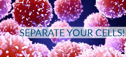 IBALifesciences's tweet photo. Now available: Positive Cell separation Kit for mouse CD3 and CD4 T cells. Choose the fastest and easiest way to get label-free cells: https://t.co/IEhnbgqWIW
#cellseparation #cellselection https://t.co/ruTiao1ST2