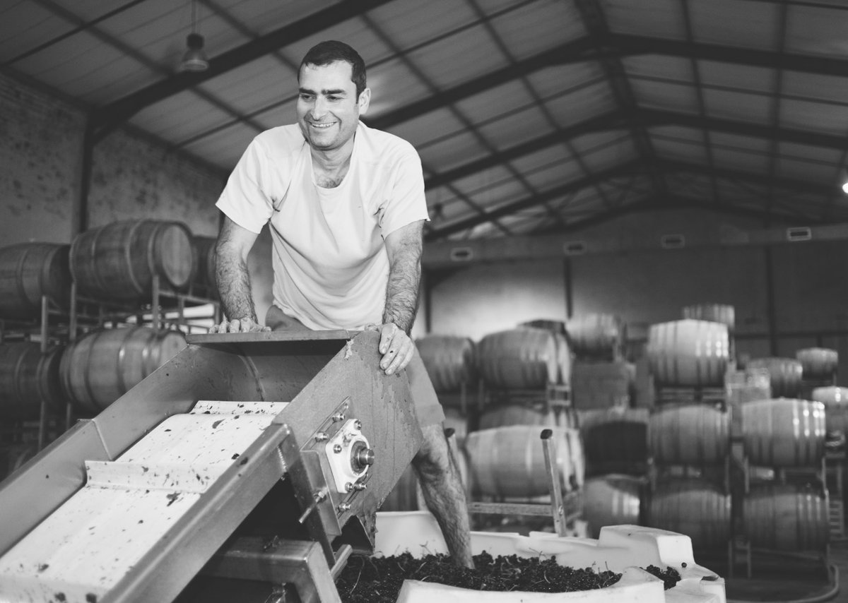 Harvest 2019 in the Swartland making our #terrebrulee wines. Happy days