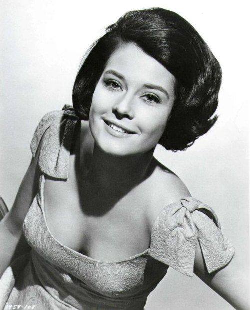 HAPPY BIRTHDAY DIANE BAKER - 25. February 1938.  Hollywood, Los Angeles, California, USA 
