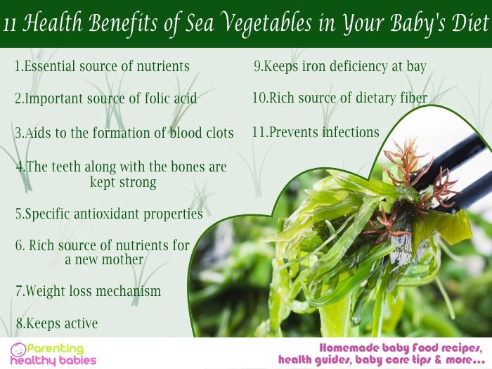 parenting_baby's tweet image. All You Need To Know About Eating Sea Vegetables!
Read More: bit.ly/2Xjo3gp
#benefitsofseavegetables #seavegetables