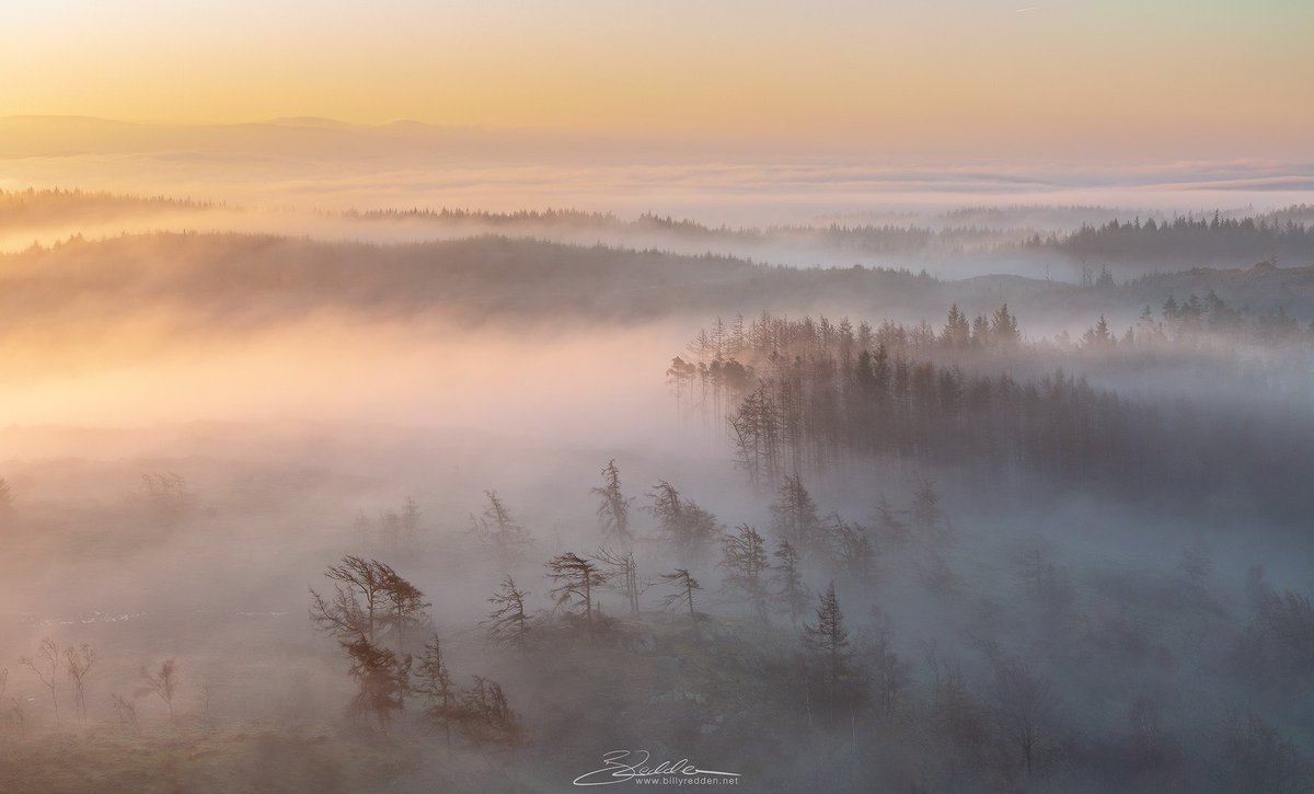 One from yesterday's fun above the clouds at Gummers How, sometimes it's nice winging it without a plan 😂#WexMondays #sharemondays2019 #fsprintmonday #ThePhotoHour #lakedistrict