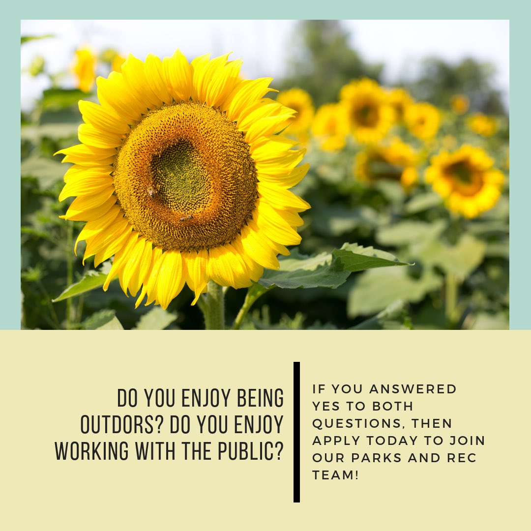 FauquierJobs's tweet photo. Summer is right around the corner! If you are looking for that perfect summer job, then Parks and Recreation could be thing that you are looking for! If you enjoy working outdoors and with the public, then apply today! Multiple different positions available. Link in bio. #jobs https://t.co/RroCleCZ4s