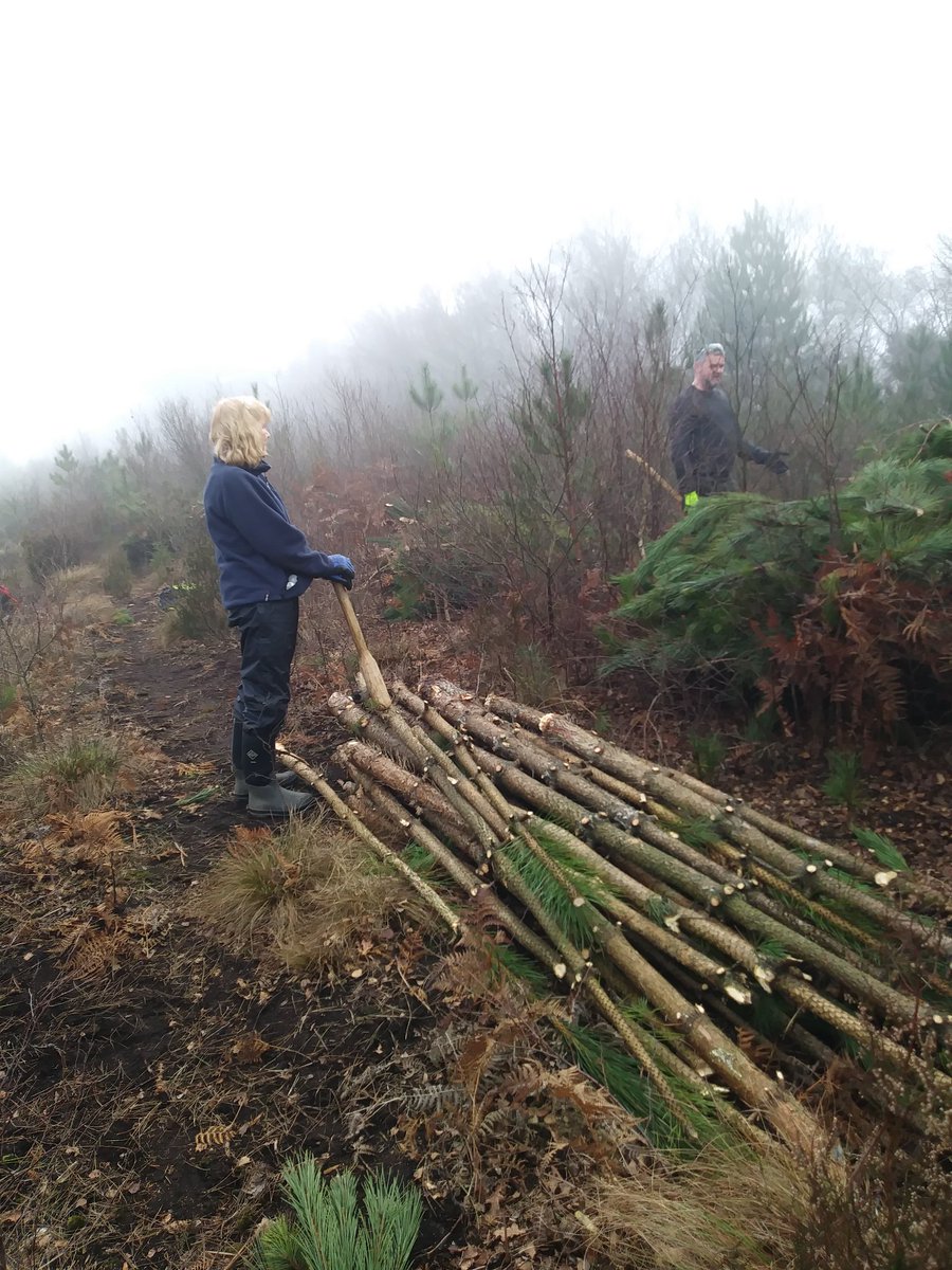 What a difference a day makes! A misty atmospheric moors welcomed the #Neolithic builders yesterday <a href="/NEYorksNLincs/">Natural England Yorkshire and North Lincolnshire</a> @HeritageFundYH