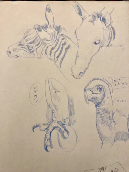 【下田スケッチ会個別指導】
今日も国立科学博物館にスケッチしに行ってきました!徐々に暖かくなってきつつあるので、外で描くことも出来て久しぶりな感じ。色々なものが描けて楽しかったです。個人的には色鉛筆で描いたスケッチがお気に入り。芯が柔らかく滑らかな描き心地!
#下田スケッチ会 