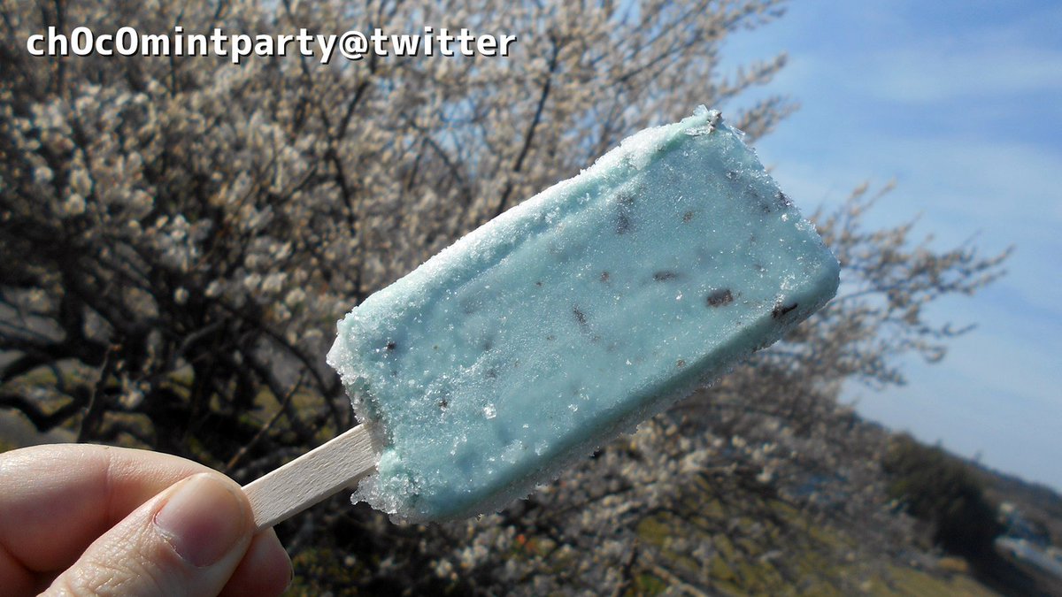 ch0c0mintparty's tweet photo. #チョコミン党 #チョコミント  #赤城乳業 #アイスクリーム
今年初めてのチョコミント（赤城乳業） https://t.co/7eF2lijnLc