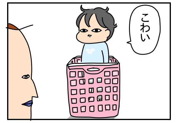 最近のムギ
 