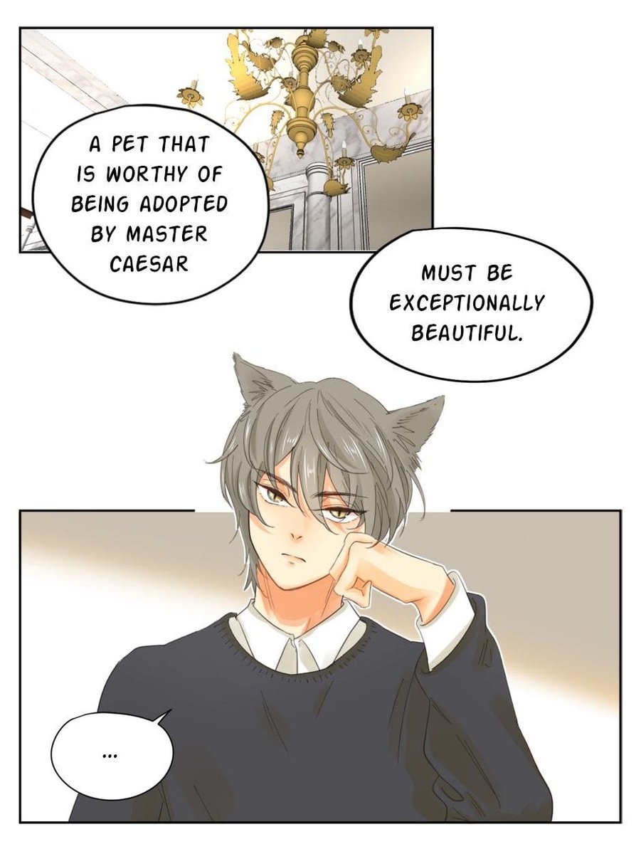 Tsukiyomi Books on Twitter: Tsukiyomi Books on Twitter: