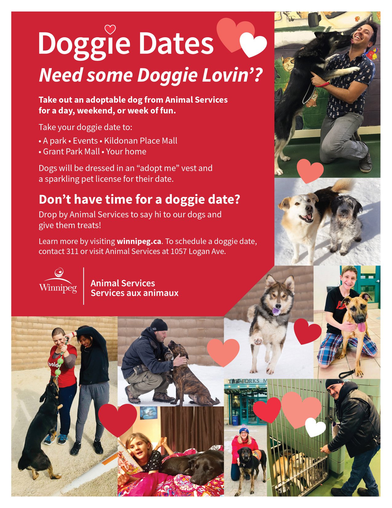 Winnipeg Animal Services on Twitter: Winnipeg Animal Services on Twitter: