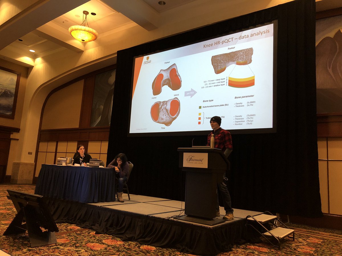 AngelaMCheung's tweet photo. Andres Kroker presenting on longitudinal effects of ACL tears on bone microarchitecture during the first 8 months post injury #QMSKI @UofTDoMChair @qmskiworkshop https://t.co/iZeGtcXRKo