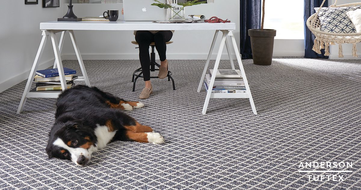 “If there are no dogs in heaven, when I die I want to go where they went.” -Will Rodgers | Featured: Springer's Point in Seaport Blue. bit.ly/2L9KtLl #andersontuftex #stainmaster #petprotect #carpet #pattern #pets #petfriendly pbxx.it/5V5QUJ