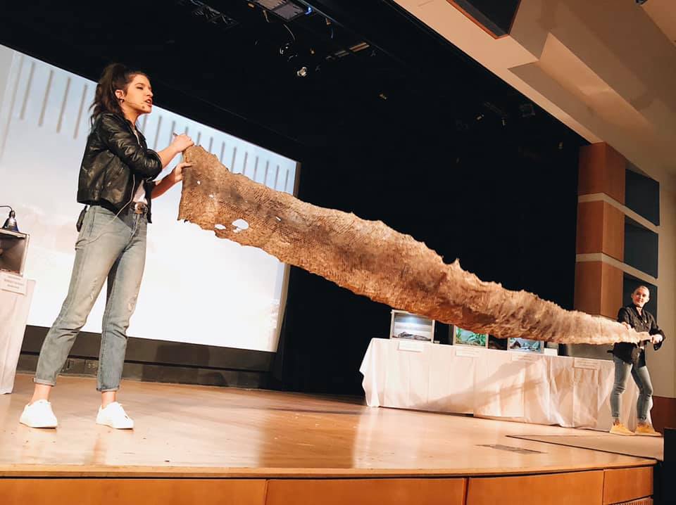 PseudohajeSci's tweet photo. Had so much fun talking to everyone who came out for @AMNH #ReptileEncounters with me and Lauren! A big shout out to our co-host, Small Wonder, for his fantastic display of ballistic tongue projection in chameleons! https://t.co/HHd9TbS10d