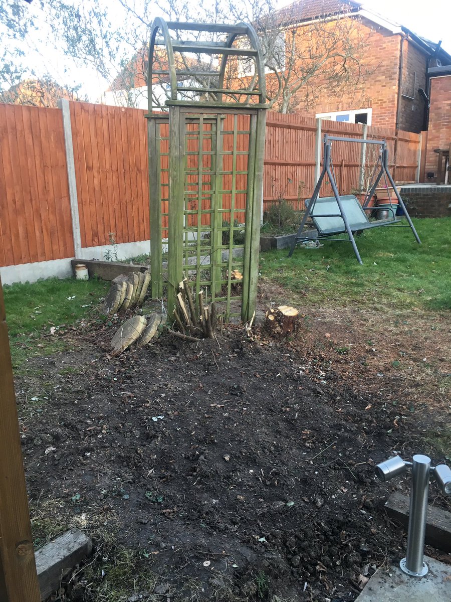 Jan_Hardy5's tweet photo. Gardening - have cut down bushes and conifers https://t.co/S1Tdk4X5wl