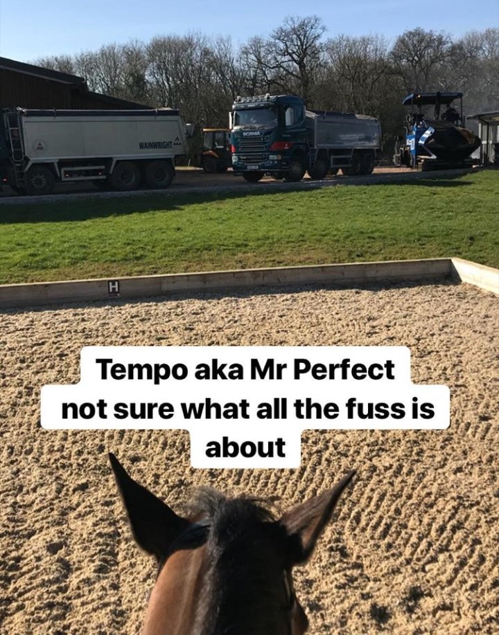 treventing's tweet photo. It's been all go at AK today with the tarmac going down! Can't wait for it to be finished but the horses have all taken it in their stride! #NoMoreMud #treventing #TeamRowland #EquineHour #hardworkpaysoff #nextseasongoals #eventing https://t.co/Qw4mB8shEj