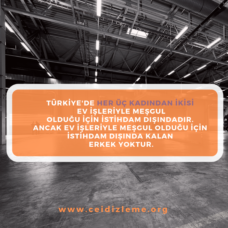 Avrupa Birliği tarafından finanse edilen #ToplumsalCinsiyet Eşitliğinin İzlenmesi Projesi kapsamında üretilen Tematik Alan Haritalama Raporları ekutuphane.ceid.org.tr  ve ceidizleme.org 'da yayında! #eşitlikizleme
