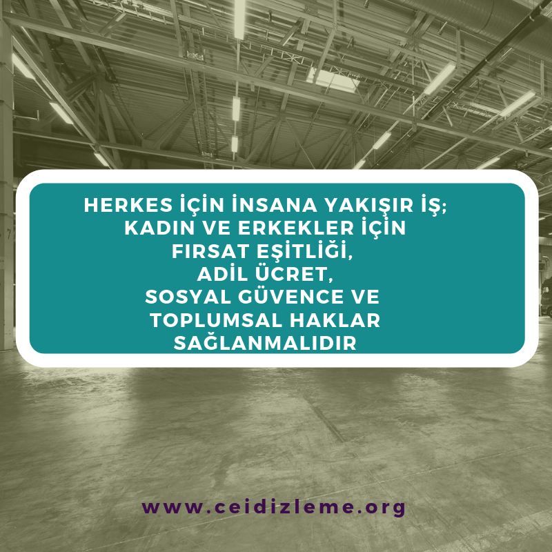 Avrupa Birliği tarafından finanse edilen #ToplumsalCinsiyet Eşitliğinin  İzlenmesi Projesi kapsamında üretilen Tematik Alan Haritalama Raporları  ekutuphane.ceid.org.tr  ve ceidizleme.org 'da  yayında! #eşitlikizleme