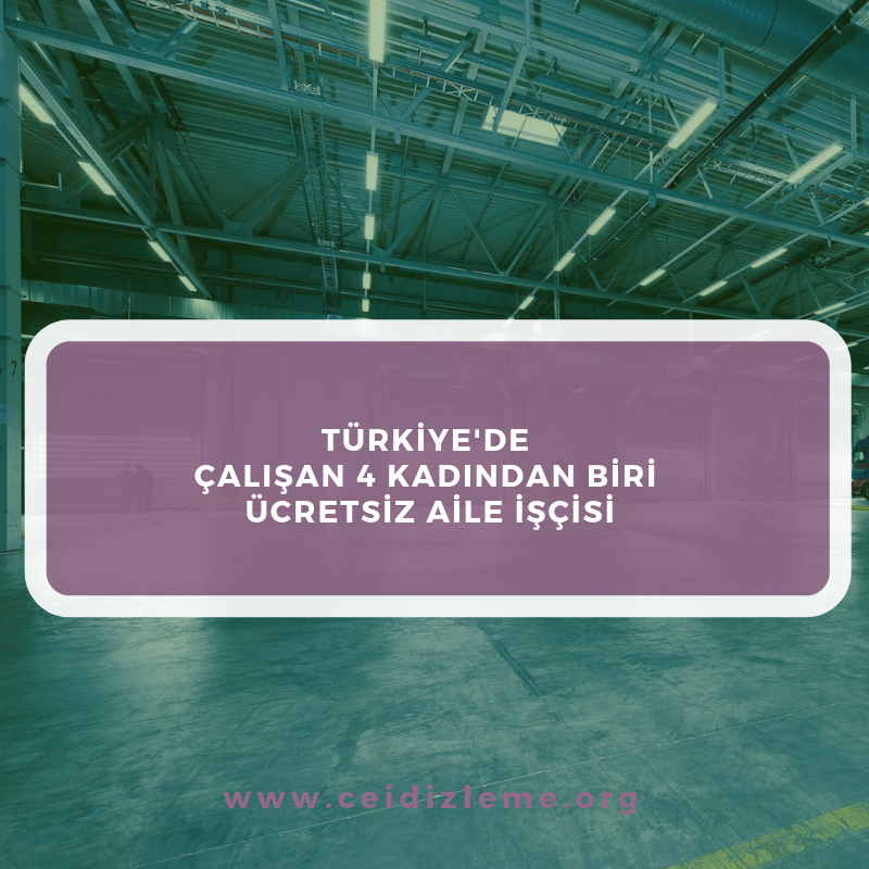 Avrupa Birliği tarafından finanse edilen #ToplumsalCinsiyet Eşitliğinin  İzlenmesi Projesi kapsamında üretilen Tematik Alan Haritalama Raporları  ekutuphane.ceid.org.tr  ve ceidizleme.org 'da  yayında! #eşitlikizleme