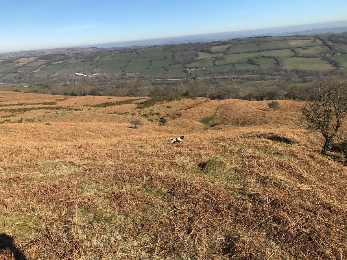 nglowton's tweet photo. There must be worse views to have on a gentle morning stroll on one’s day off #AVicarsLife #happyspringer https://t.co/OdH7GCwT3T